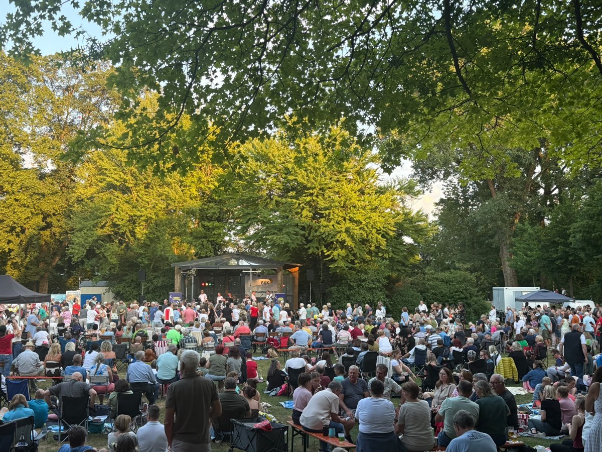 Volle Konzertwiese im Max-Reger-Park bei der Sommerserenade